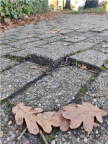 Onveilige stoep in Appelscha